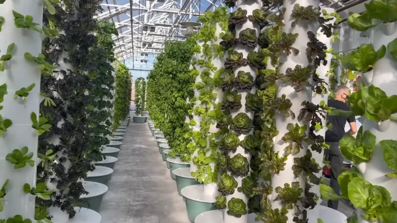 vertical farming